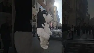 Photo with teddy for free #travel #viral #italy #shortvideo #shorts #photography
