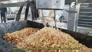 Automatic pomegranate peeling and seed extraction machine.