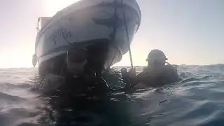 Diving Tubbataha Philippines 2025 Ben Linders