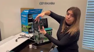Fish Tank Review: Is the 2.2 Gallon Aquarium with 7-Color Light & 3-in-1 Pump Worth It?