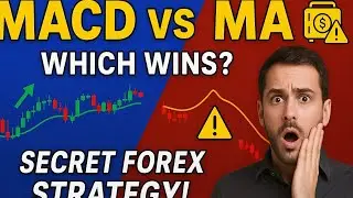 Best MACD Trading Strategy// You Can't Miss This