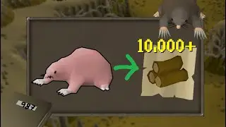 This pet hunt is giving me a BIG boost for this update! {OSRS}(#63) 987/1000