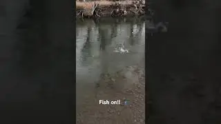 #smallstream #thesoberfisherman #selfcare #wedorecover