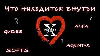 Что находится внутри Project-X?