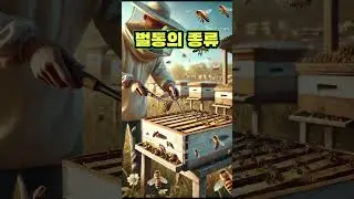 벌통의 종류