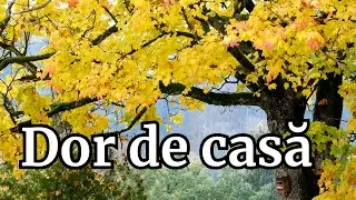 Dor de casă ❤️ Dor & Ritm | C&acirc;ntec rom&acirc;nesc original despre dor și rădăcini #dorsiritm