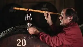 Enoturismo por la Ruta del vino de Alicante | Bodega Cooperativa De Algue&ntilde;a