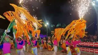 corso cruce&ntilde;o en santa cruz bolivia el 10 02 2024 parte 50