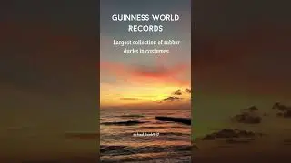 Guinness World Records - Largest collection of rubber ducks in costumes