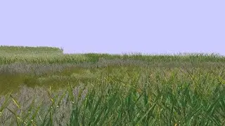 Endless Grass Simulation Further Exploration
