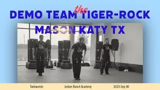 Demo Team Tiger-Rock Mason Katy TX Part 2
