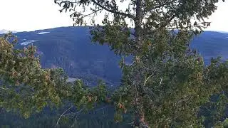 Flounce Rock