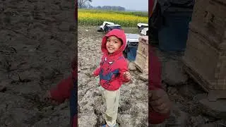 Mihika saw bees collecting honey today🥰babies funny shorts video ||Mihika dewry||