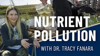 ⛺️ CAMP CHAIR CHATS, Ep. 2 | What is nutrient pollution, with Dr. Tracy Fanara