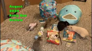 Рецензия на Ratty Box за август 2024 года!