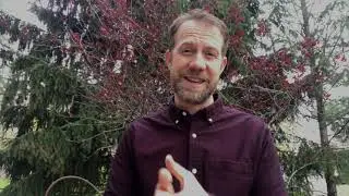 Prayer of Thanksgiving & Birdsong (Rev. Matt Weiler)