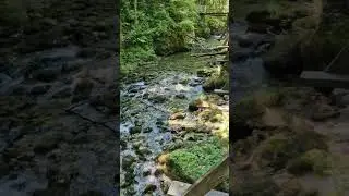 Discovering Croatia's Hidden Gem: The Calm Kamačnik River Walk