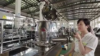 HLSG Series High Speed Wet Mixing Granulator