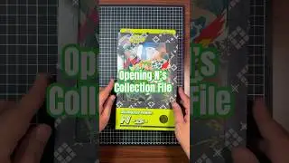 I Found the BEST Pull Rates with N&rsquo;s Collection File