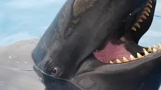 沖縄　美ら海水族館　オキゴンドウのお顔のアップ　Pseudorca crassidens