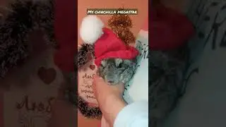 🎄Самый няшный ДЕД МОРОЗ! 🎄 😂/#shorts