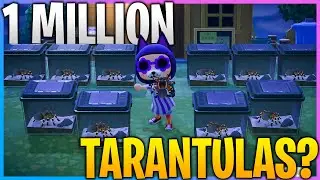 How To Farm TARANTULAS in Animal Crossing New Horizons (ACNH)
