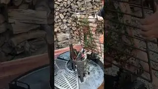 Whole Hog Asador Style | Al Frugoni - Open Fire Cooking