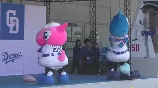 チアドラゴンズ2025 ドリームスターズパーティー　2025年4月26日(土) 中日 - ヤクルト 5回戦
