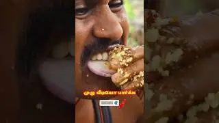 சேத்து மான் கறி வறுவல் | Tasty Pork Gravy (பன்றிக்கறி வறுவல்) | Karikanji Cooking Channel