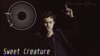[Music box Cover] Harry Styles - Sweet Creature