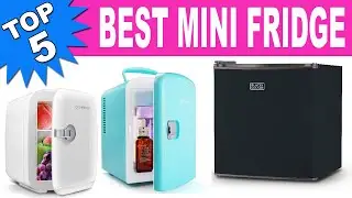 Top 5 Best Mini Fridge 2021