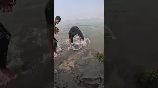 Easy fishing in Padma river 2  #fishing #fish #bigfish