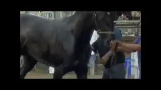 |Believe| Shared Belief