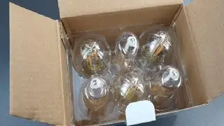 LEESANRAN LED T25 Dekorative Edison Tubular Leuchtmittel, Sie sind nicht sehr hell, aber geben sch&ouml;n