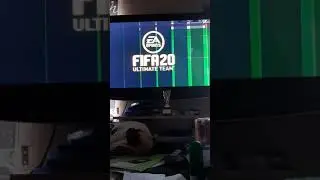 Player Review:Bobby Firmino!