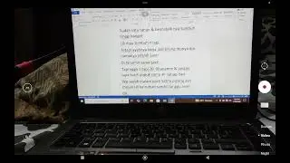 Cerita ke 2  tanaman yang indah
