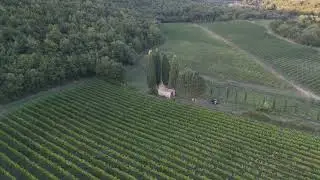 Cappella dei Pesci (Badia a Passignano)