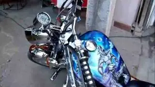 Shark 250