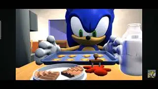 Sonic gives a cat with gingerbread man