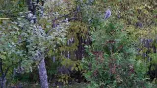 DSCF2068