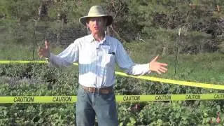 NPSAS Vegetable Variety Trials at Prairie Road Organic Seed