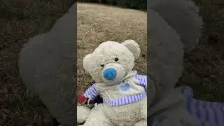 (Cap4) mu&ntilde;ecos en fuga