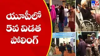 Uttar Pradesh Assembly polls: 5th phase polling for 61 seats today  - TV9
