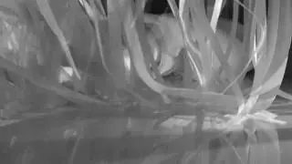VAR25 Installation Video