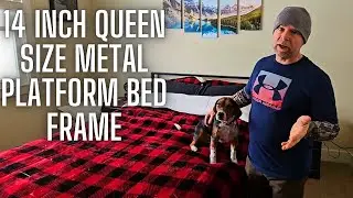 SHA CERLIN 14 Inch Queen Size Metal Platform Bed Frame