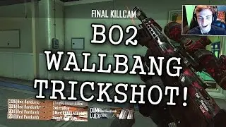 I HIT ANOTHER BO2 WALLBANG!