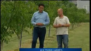 IMAZHI I DITËS - KRONIKË - KULTIVIMI I ARRËS 24.05.2018