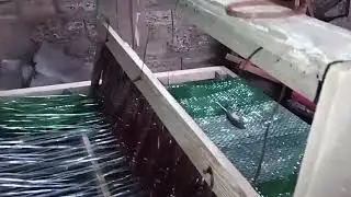 Плетение из ПЕТ, PET loom, PET weaving, primitive technologies, pet recycling