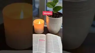 Daily Bible Verse Proverbs 21:31 #bible #jesus #blessings #bibleverse #victory #proverbs #sundayvibe