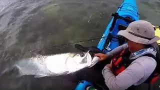 Beginners Guide to Catching A Florida Keys Tarpon #1 - The Migration